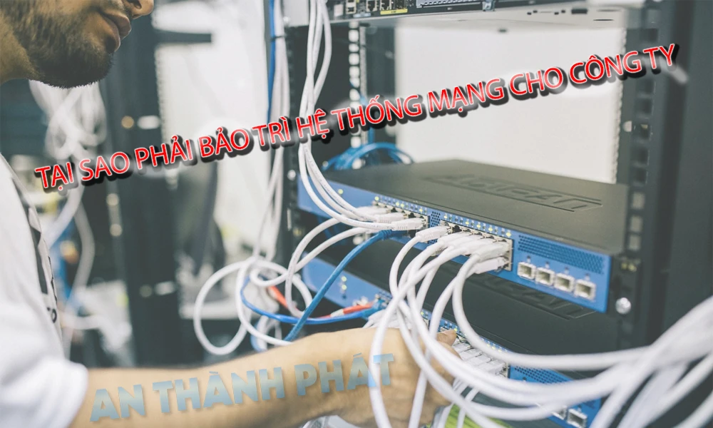 Dịch Vụ Bảo Trì Hệ Thống Mạng Quận Tân Bình